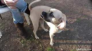 2470 ass porn videos